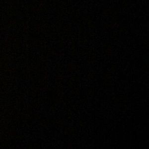 Meet your Posher, Bree